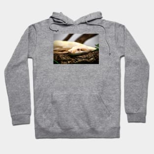 Snake III / Swiss Artwork Photography Hoodie